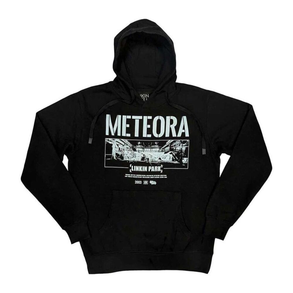 Linkin Park Unisex Adult Meteora Wall Art Hoodie / Black